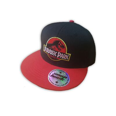 Jurassic Park Snap Back Cap Logo