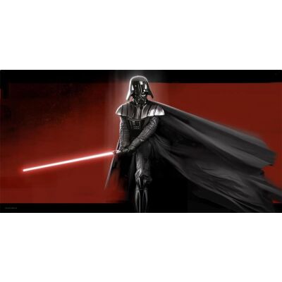 Glas-Poster - Darth Vader 50 x 25 cm - STAR WARS