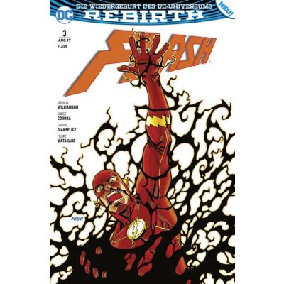 Flash (Rebirth) 03: Im Bann der Finsternis