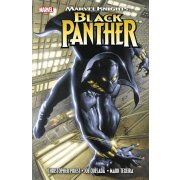 Marvel Knights: Black Panther