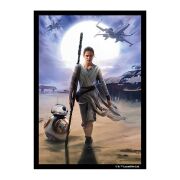 Art-Hüllen Star Wars: Rey (50)