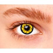 Natürliche Kontaktlinsen Tokyo Ambre, 1 Monat
