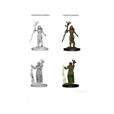 D&D Nolzurs Marvelous Unpainted Miniatures - Human Female Druid