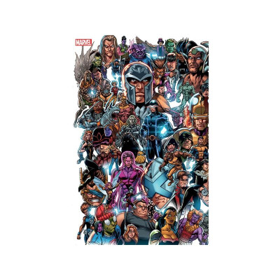 X-Men 01: Die Zukunft der Mutanten, Panorama Variant (555)