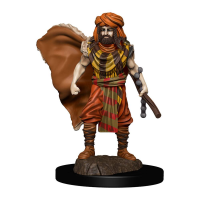 D&D Icons of the Realms Premium Figures: Human Druid Male