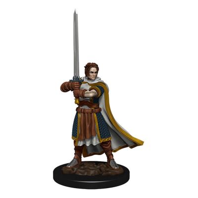 D&D Icons of the Realms Premium Figures: Human Cleric Male