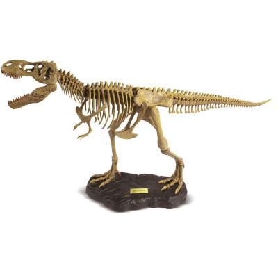 Jurassic Hunters - T-Rex Model Kit