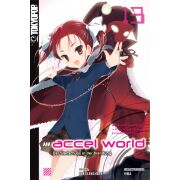 Accel World - Light Novel, Band 13