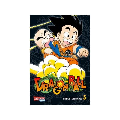 Dragon Ball Massiv 03