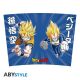 Dragon Ball Travel Mug DBZ/Goku & Vegeta