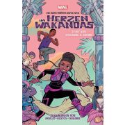 Im Herzen Wakandas: Eine Black Panther Graphic Novel