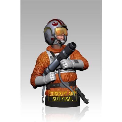 Bust -  Luke Skywalker Snowspeeder Pilot  1/6 18 cm - STAR WARS