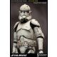Action Figure - Veteran Clone Trooper Deluxe 1/6 32 cm - STAR WARS