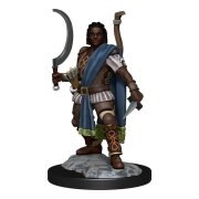D&D Nolzurs Marvelous Miniatures - Human Ranger Male
