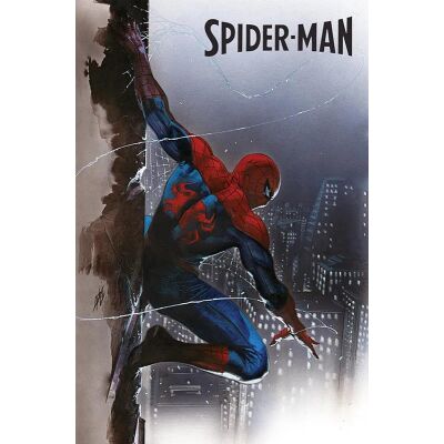 Spider-Man Sonderband 01: Das Ende des Spider-Verse, Variant (222)