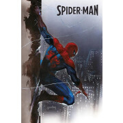Spider-Man Sonderband 01: Das Ende des Spider-Verse,...