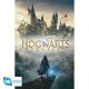 Harry Potter Maxi Poster "Hogwarts Legacy Key Art" 91,5 x 61 cm