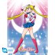 Sailor Moon Chibi Poster-Set "Sailor Moon & Cats"
