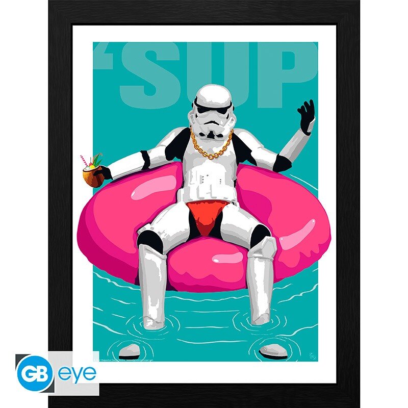 Original Stormtrooper Poster im Rahmen "Pool Boy" 30 x 40 cm